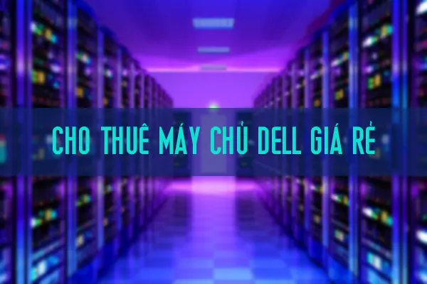 Cho Thue May Chu Dell Thumb
