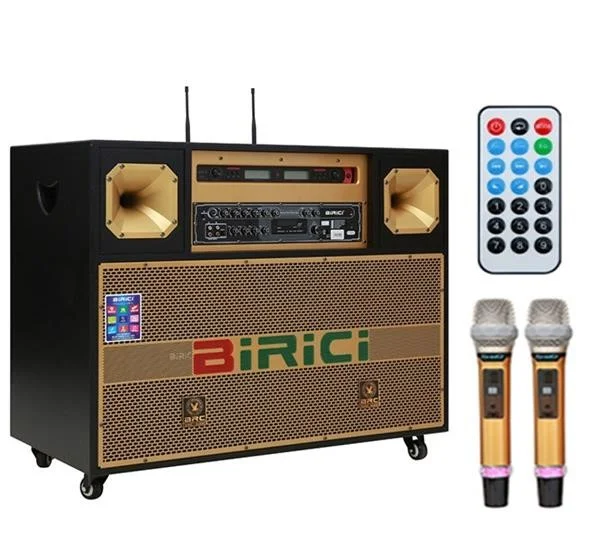 Loa điện karaoke Birici MX-700 450W