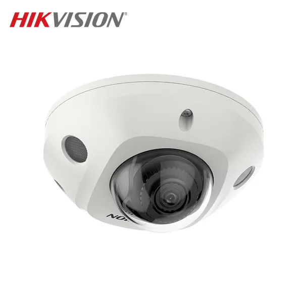 Camera Hikvision DS-2CD2543G2-IWS